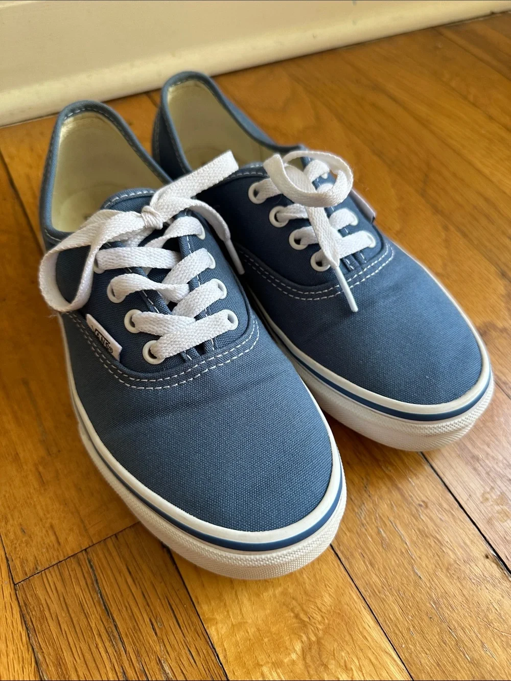 Vans Kids Authentic Canvas Sneaker